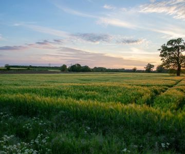 Simon Godfrey Dho8na6l3p0 Unsplash (1)